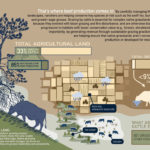 A portion of an infographic called Beef’s place in a healthy environment that was one of the most popular items produced by the Beef Cattle Research Council last year.