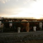 (Photo courtesy Canada Beef Inc.)