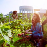 Canada must be seen as leaders in agriculture and food as well as food ingredient technology.