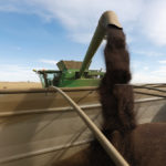 Changes to the cash advance program — spurred by China’s defacto ban on canola seed purchases — has resulted in more farmers using the program and borrowing larger amounts.