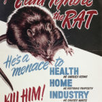 The effort to keep rats out of Alberta dates back seven decades.