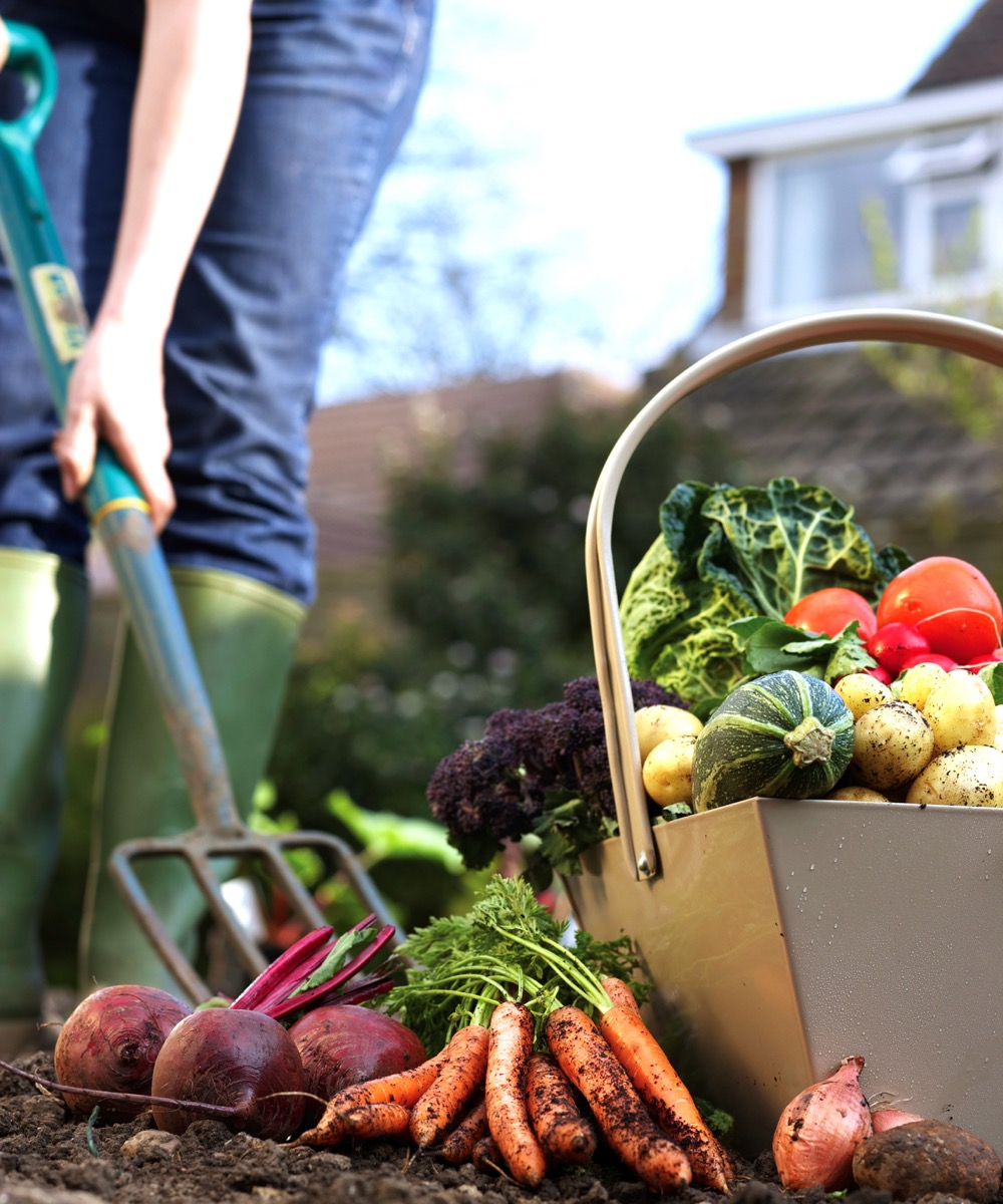 Open Farm Days registration now open