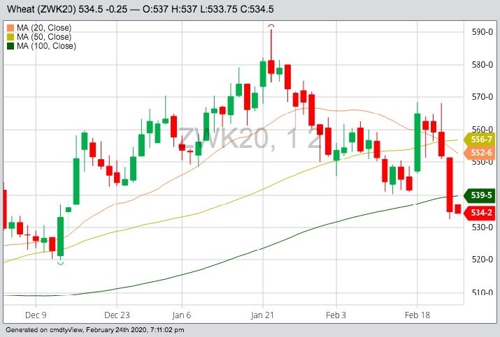 CBOT May 2020 wheat with 20-, 50- and 100-day moving averages. (Barchart)
