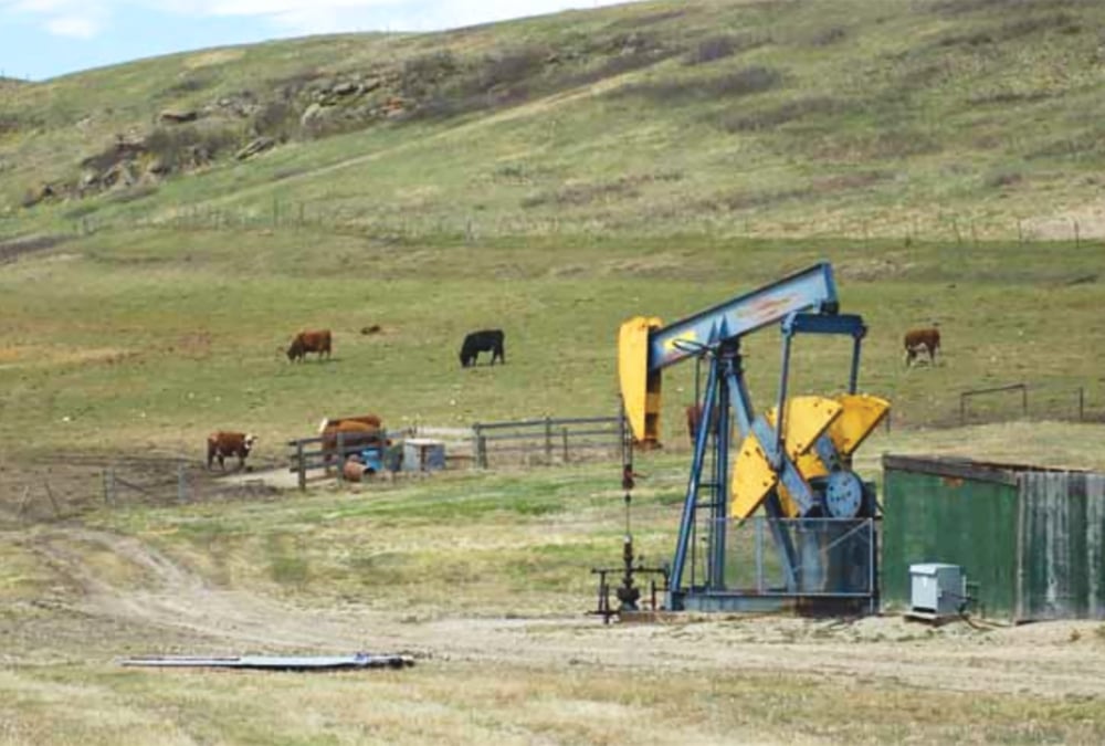 Producers don’t have a lot of cards to play in negotiations with energy companies, says expert.