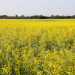 Bite-sized lowdown on ag economics