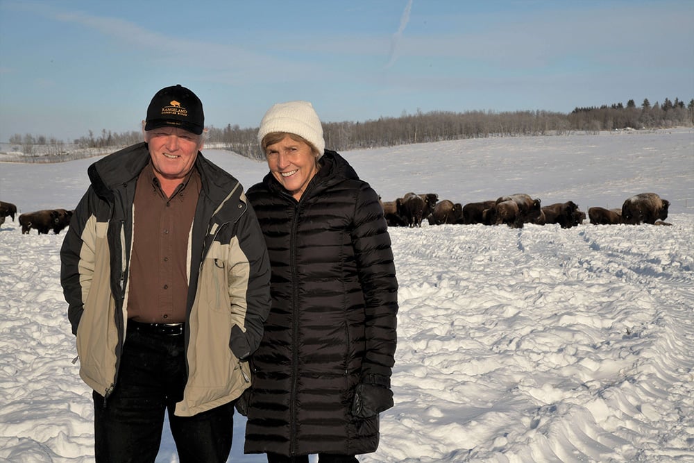 “I love everything about bison,” says Armin Mueller, who with wife Rita have donated $4 million to Lakeland College to purchase land and establish a bison herd.
