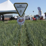 New varieties often come with tremendous promise, but capturing the full potential of those new genetics depends on the environment on your farm and your management practices.