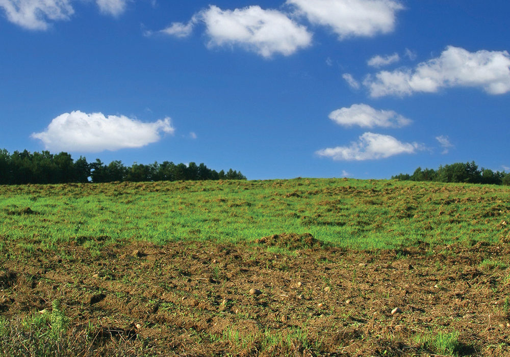 Spring termination of hay land brings challenges