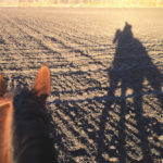 There’s no hard-and-fast rule, but horses have weight limits