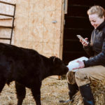 Hershey, a bottle-fed calf, has become a regular on the virtual farm tours that Charlotte Wasylik began making last month.