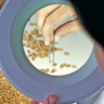 The new agency’s mandate is to focus on research that produces direct benefits for farmers.