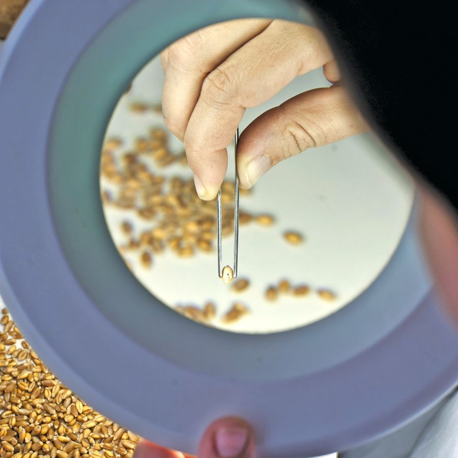 The new agency’s mandate is to focus on research that produces direct benefits for farmers.