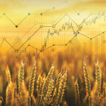 Be ready to sell when good opportunities arise but don’t change your seeding plans in order to chase prices, say analysts.