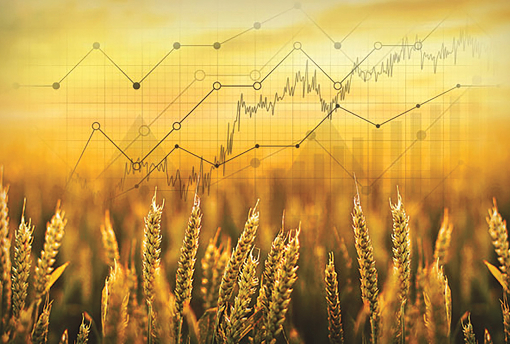 Be ready to sell when good opportunities arise but don’t change your seeding plans in order to chase prices, say analysts.