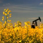 Land is getting more expensive relative to farm income, says Farm Credit Canada’s chief agricultural economist.