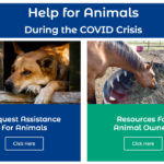 With shelters having a limited ability to take in animals during the pandemic, Alberta SPCA has launched a program to help rural owners who are having trouble feeding their animals.