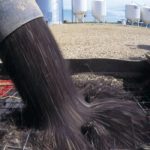 Managing high-moisture canola