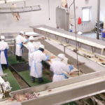 Meat-processing plants across North America have had to temporarily close because workers have contracted COVID-19. But the Canadian beef sector is particularly vulnerable because two Alberta plants process nearly 75 per cent of the country’s cattle.