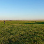 Encouraging producers to select forages that will be the most productive on their land was the top priority for a new forage selection tool.