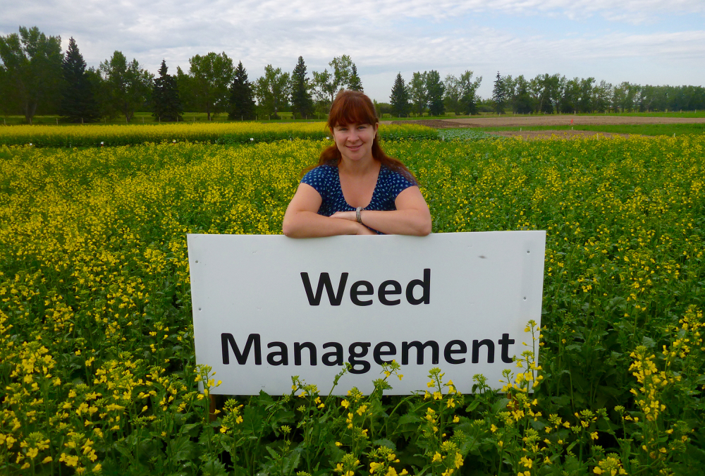 Weed seed bank is higher this year and late spring favours weeds, too, says federal research scientist Breanne Tidemann.