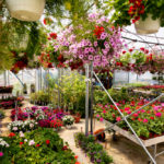 Move it or compost it might be the motto when it comes to bedding plants and baskets, which is why getting gardening centres designated an essential service was critical for the sector.