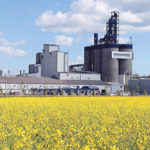 Canadian canola crushers are headed for record production this year — and that will reduce canola carry-over and support prices, says provincial crop analyst Neil Blue.