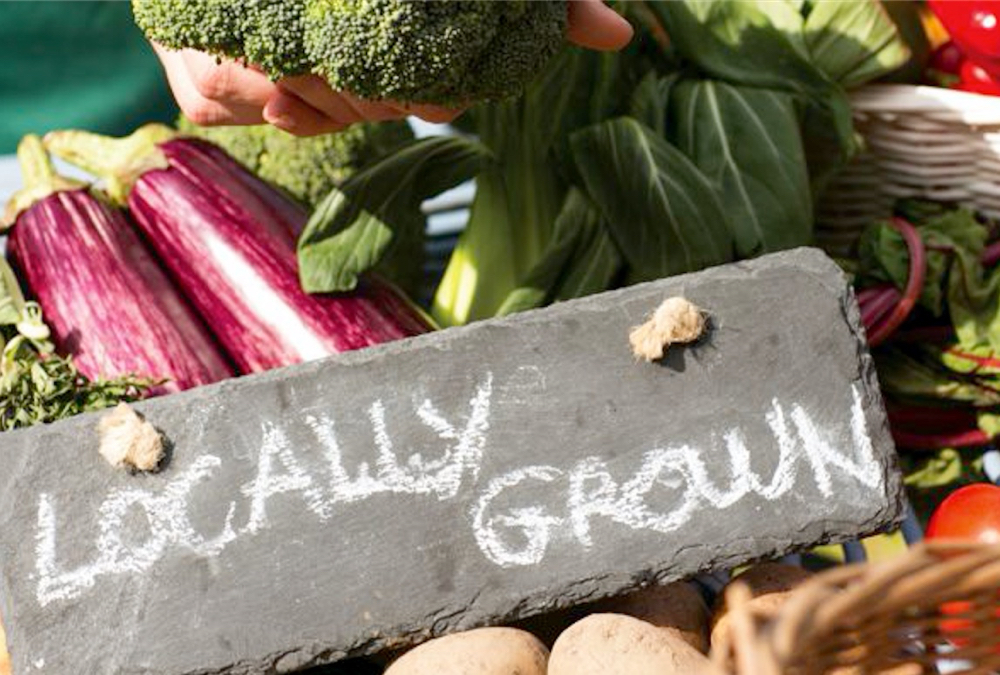 Local, diverse veggie varieties part of food security, says seed group