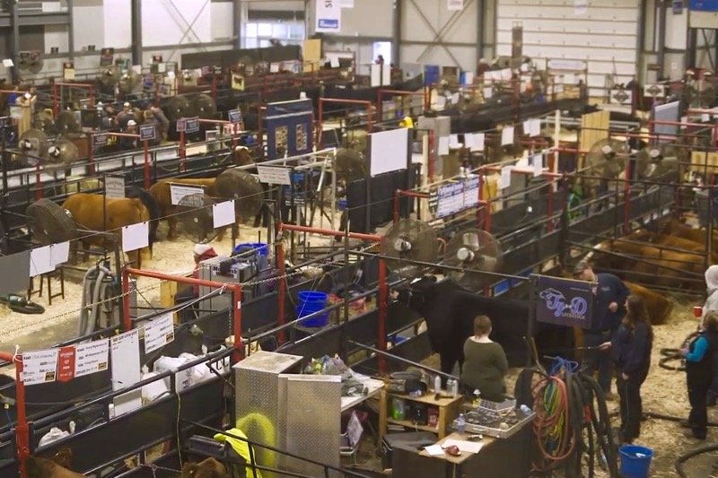 (Video screengrab from Agribition.com via YouTube)
