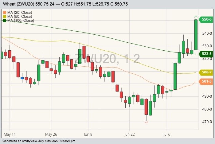 CBOT September 2020 wheat with 20-, 50- and 100-day moving averages. (Barchart)
