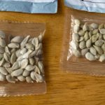 Packages of unidentified seeds which appear to have been mailed from China to U.S. postal addresses are seen at the Washington State Department of Agriculture in Olympia, Washington July 24, 2020. Photo: Washington State Department of Agriculture/Handout via Reuters