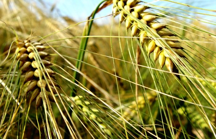 Photo: iStock
