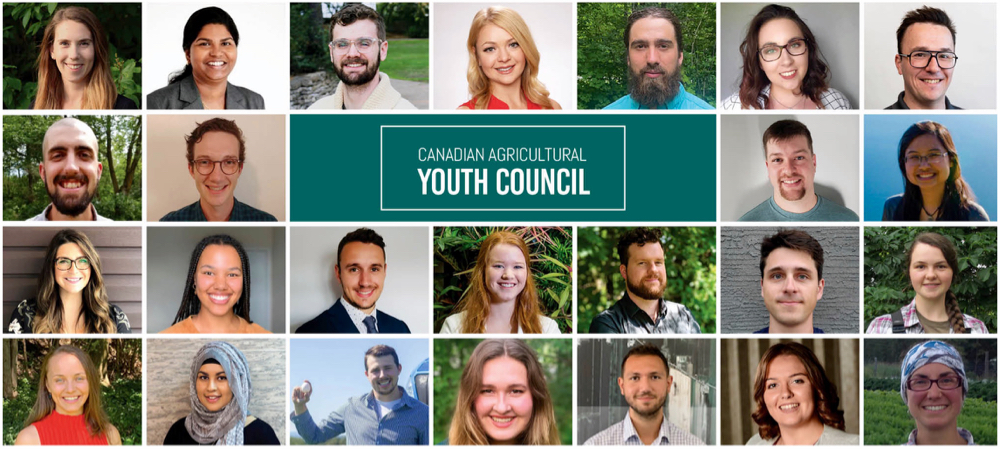 Ag minister creates youth advisory council