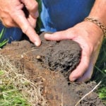 There are many attributes of healthy soils — and many definitions of what healthy soil is. But producers can cut through the confusion by keeping in mind five principles.