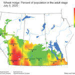 This forecast map is from the July 9 weekly update from the Prairie Pest Monitoring Network. Producers can get the weekly update by signing up at www.prairiepest.ca.