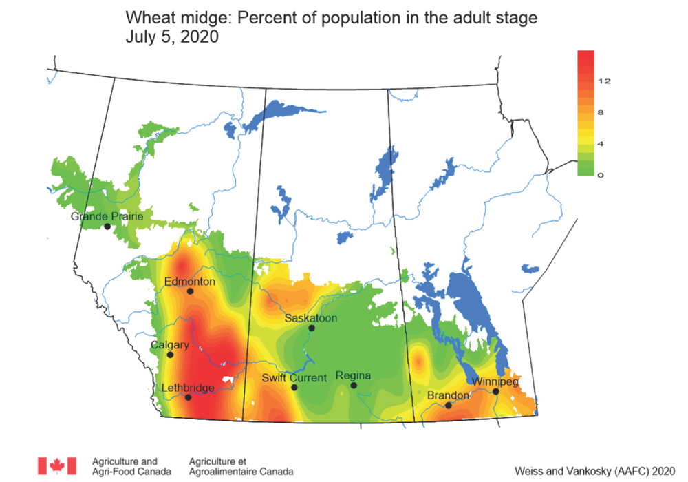 This forecast map is from the July 9 weekly update from the Prairie Pest Monitoring Network. Producers can get the weekly update by signing up at www.prairiepest.ca.