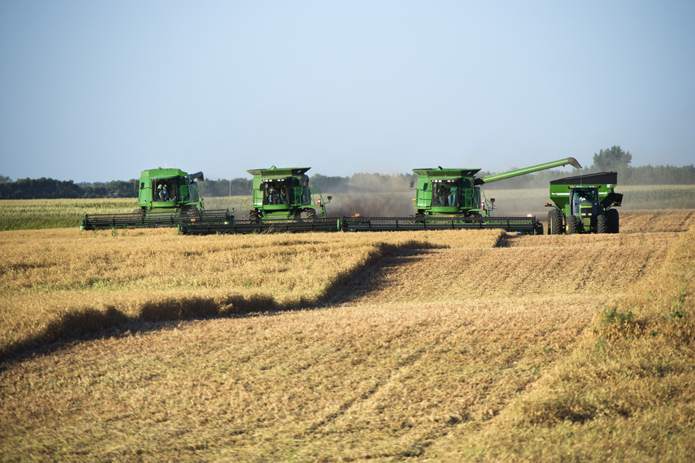 No repeat of the ‘harvest from hell,’ says weather forecaster