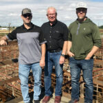 More cattle are being sold through online auctions but live auctions aren’t going away any time soon, says Jason Danard of Calgary Stockyards (on left with father Don and brother Bryan).
