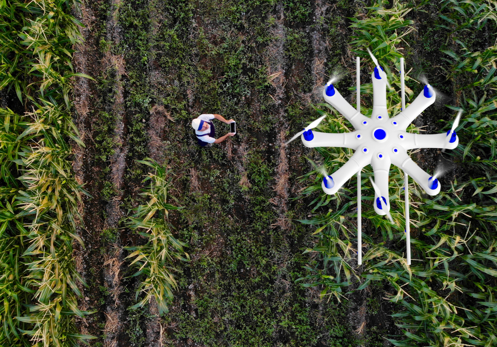 More and more, farmers are using drones in their farm operations. But are they getting the most bang for their buck to assist them with cropping decisions?