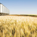 The cost of grain bins has risen $1 a bushel — a 25 per cent jump — in the last five years, says a provincial market analyst.
