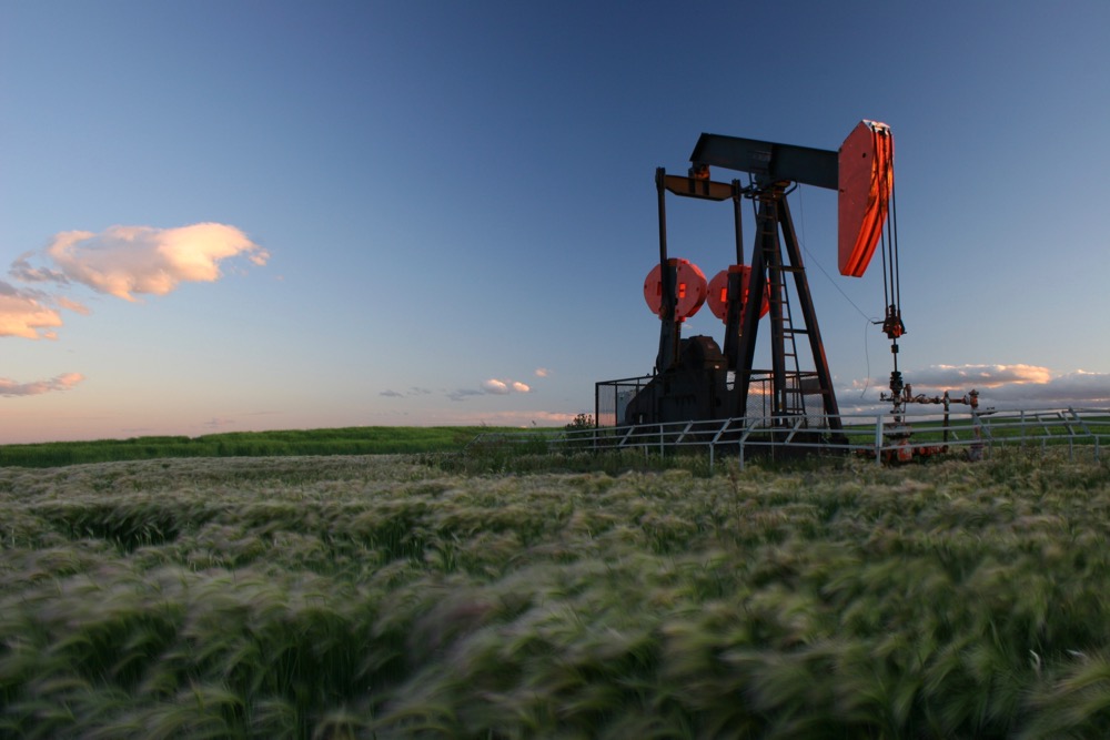 File photo of a pumpjack in an Alberta field. (ImagineGolf/E+/Getty Images)

