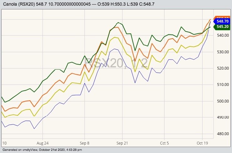 ICE November 2020 (blue), January 2021 (yellow), March 2021 (orange) and July 2021 (green) canola futures. (Barchart)
