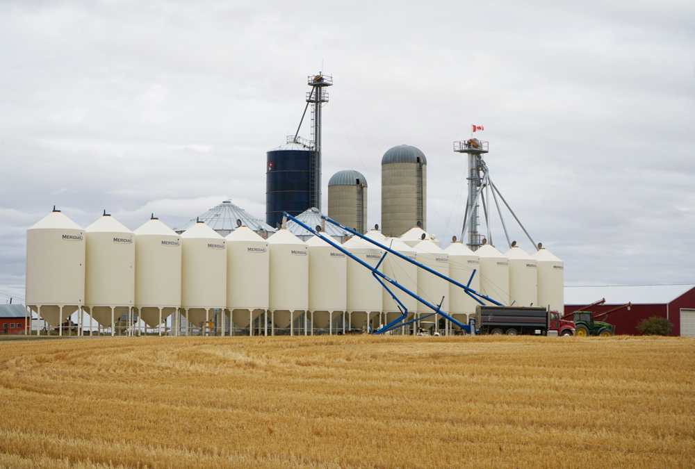 Not everyone has as many bins to fill as this operation east of Didsbury, but most producers in Alberta had their crops off the field much earlier this year. However, yields and quality were a mixed story across the province.