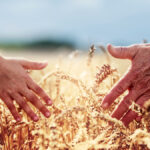 If COVID has taught us anything, it is the value of food and the importance of family. – Brenda Schoepp.