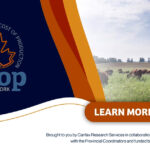 This initiative aims to set a new standard for benchmarking production costs for cow-calf producers. Participating producers will be placed in small groups according to both their eco-region and production styles. Each group will not only provide cost-of-production data but also share their experiences on what practices work and which don’t.
