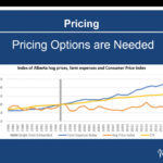 In his chair’s report at Alberta Pork’s virtual AGM, Brent Moen used this chart to illustrate the financial woes of hog producers. The bottom (orange) line shows the price of hogs relative to 1996. It is basically flat while the Consumer Price Index (yellow line) has gone up more than 50 per cent and farm expenses (blue line) have more than doubled.