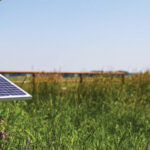 Olds College’s Smart Farm has been working with Telus and other tech providers to create networks for its extensive array of technologies. The school is now partnering with the telco’s newly created ag unit.