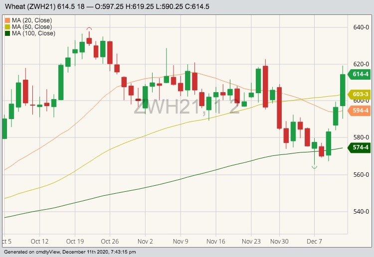 CBOT March 2021 wheat with 20-, 50- and 100-day moving averages. (Barchart)
