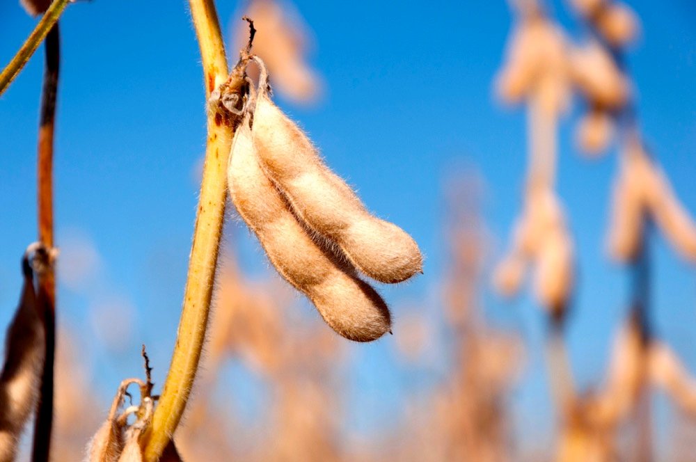 Photo: Thinkstock
