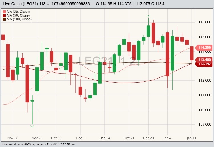 CME February 2021 live cattle with 20-, 50- and 100-day moving averages. (Barchart)
