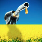 Ottawa’s new Clean Fuel Standard could be a big win for canola growers, says the Canola Council of Canada.
